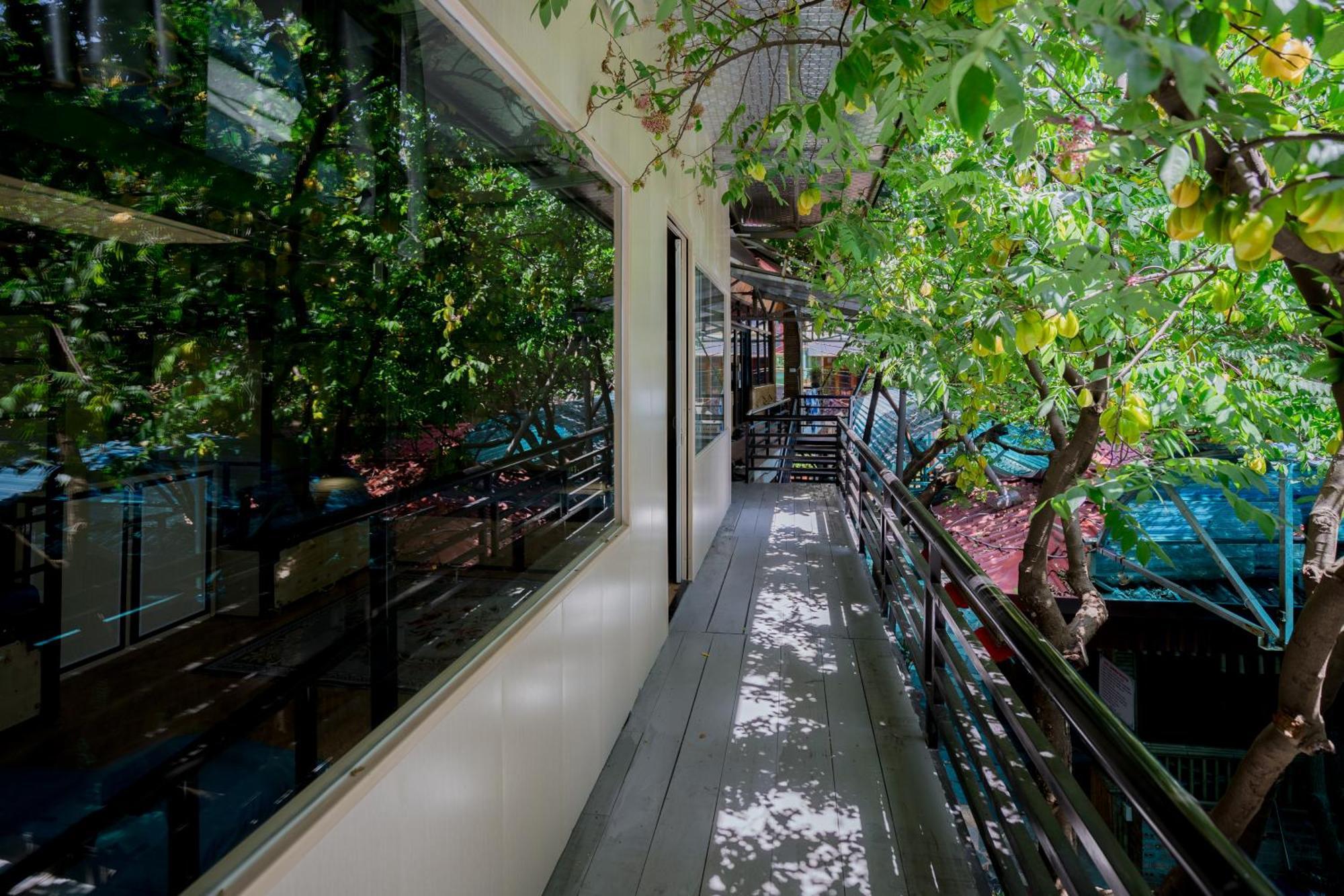 City Garden Hostel Ninh Binh Eksteriør billede